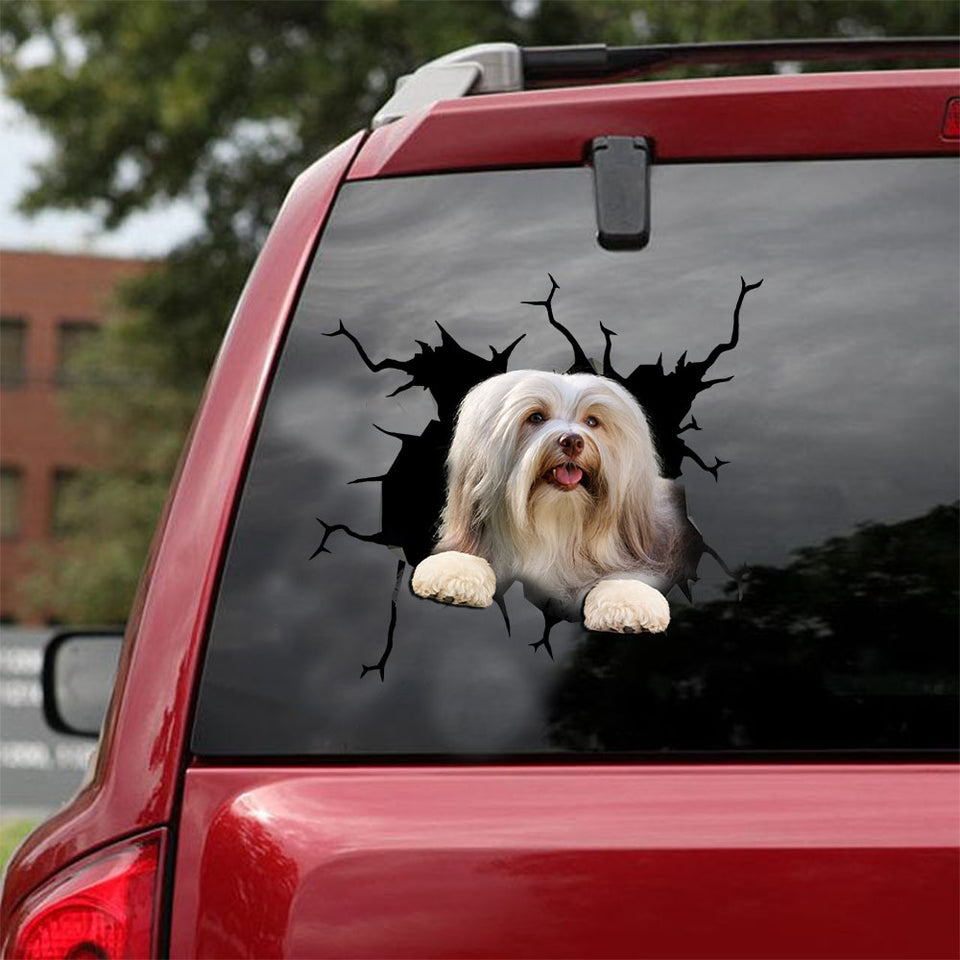 [ld0463-snf-tpa]-havanese-crack-car-sticker-dogs-lover