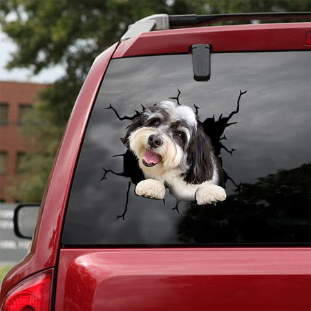 [ld0464-snf-tpa]-havanese-crack-car-sticker-dogs-lover