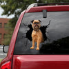 [ld0913-snf-lad]-brussel-griffon-crack-car-sticker-dogs-lover