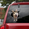 [ld1215-snf-lad]-alaskan-malamute-crack-car-sticker-dogs-lover