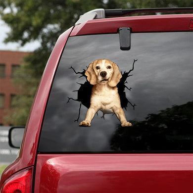 [ld1259-snf-lad]-beagle-crack-car-sticker-dogs-lover