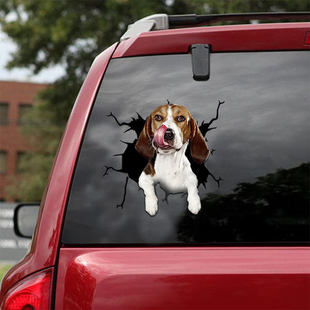 [ld1260-snf-lad]-beagle-crack-car-sticker-dogs-lover