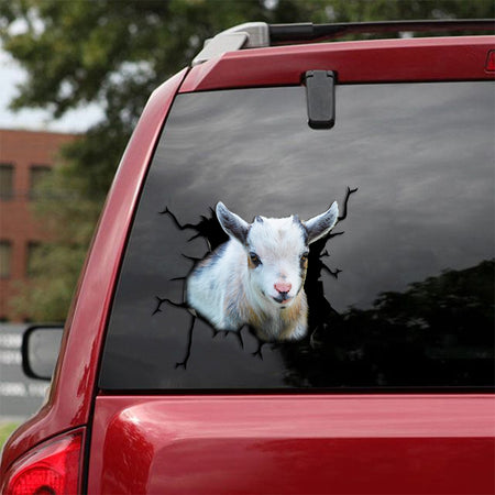 [sk1771-snf-tpa]-pygmy-goat-crack-car-sticker-cattle-lover