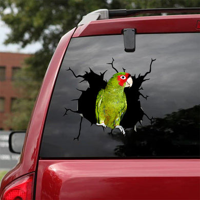 [bv0192-snf-tnt]-cherry-headed-conure-crack-car-sticker-birds-lover