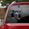 [bv0213-snf-tpa]-great-dane-crack-car-sticker-dogs-lover