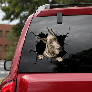 [bv0214-snf-tpa]-great-dane-crack-car-sticker-dogs-lover