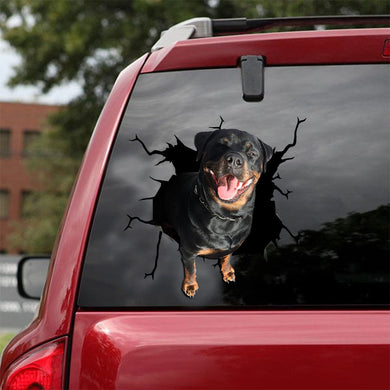 [ld0470-snf-tpa]-rottweiler-crack-car-sticker-dogs-lover