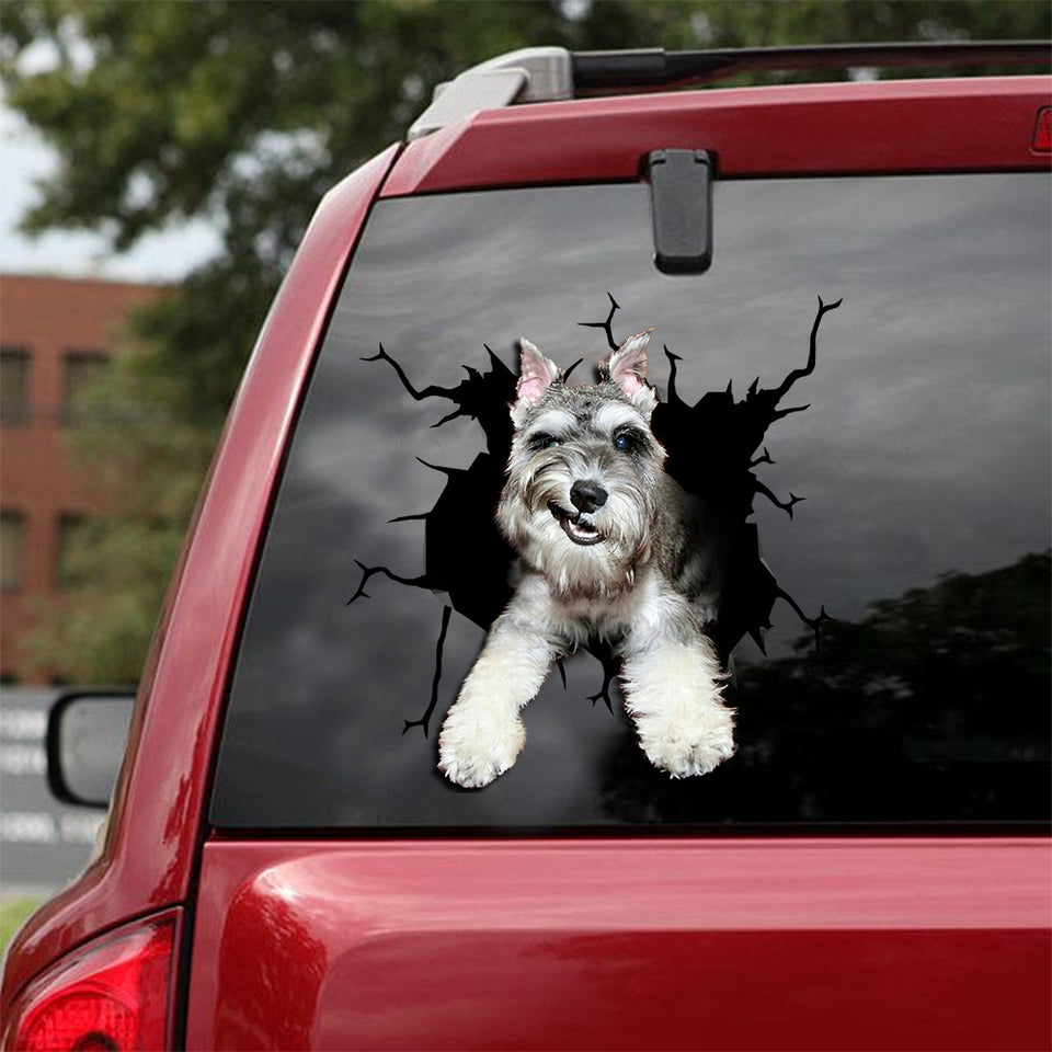 [sk1812-snf-lad]-miniature-schnauzer-crack-sticker-dogs-lover