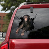 [ld1263-snf-lad]-chimpanzee-crack-car-sticker-dogs-lover
