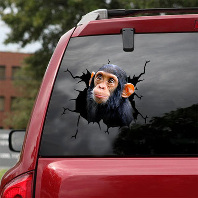 [ld1266-snf-lad]-chimpanzee-crack-car-sticker-dogs-lover