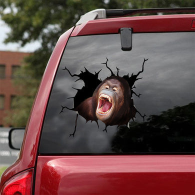 [ld1278-snf-lad]-orangutan-crack-car-sticker-monkeys-lover