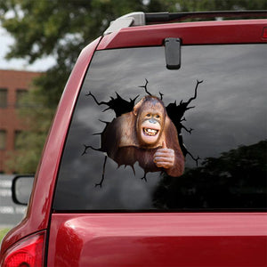 [ld1279-snf-lad]-orangutan-crack-car-sticker-monkeys-lover