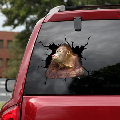 [ld1280-snf-lad]-orangutan-crack-car-sticker-monkeys-lover