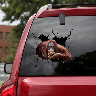 [ld1281-snf-lad]-orangutan-crack-car-sticker-monkeys-lover