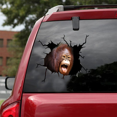 [ld1282-snf-lad]-orangutan-crack-car-sticker-monkeys-lover