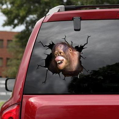 [ld1283-snf-lad]-orangutan-crack-car-sticker-monkeys-lover
