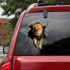 [ld1290-snf-lad]-lion-crack-car-sticker-lions-lover