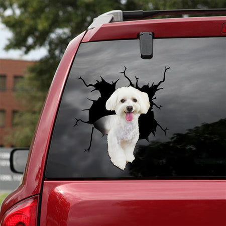 [ld1622-snf-lad]-maltese-crack-car-sticker-dogs-lover