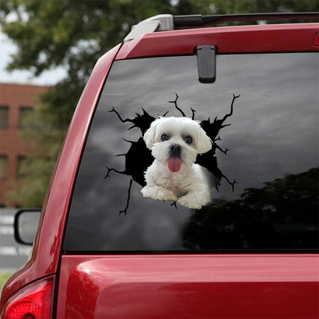 [ld1623-snf-lad]-maltese-crack-car-sticker-dogs-lover
