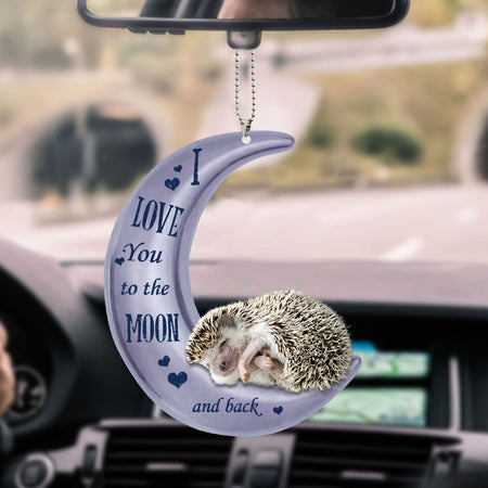 hedgehog-ornament-decorate-car