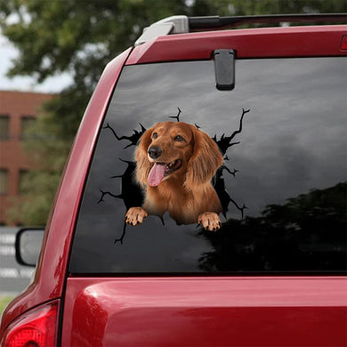 [da1101-snf-tnt]-dachshund-crack-car-sticker-dogs-lover