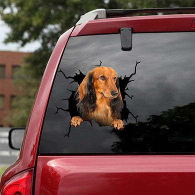 [da1102-snf-tnt]-dachshund-crack-car-sticker-dogs-lover