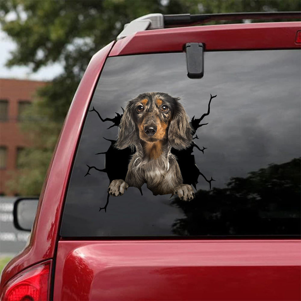 [da1103-snf-tnt]-dachshund-crack-car-sticker-dogs-lover