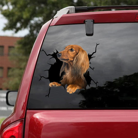 [da1104-snf-tnt]-dachshund-crack-car-sticker-dogs-lover
