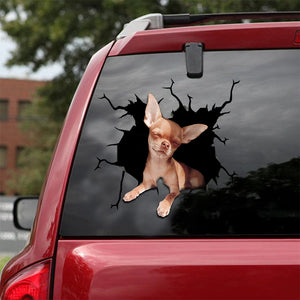 [sk1862-snf-lad]-chihuahua-crack-sticker-dogs-lover