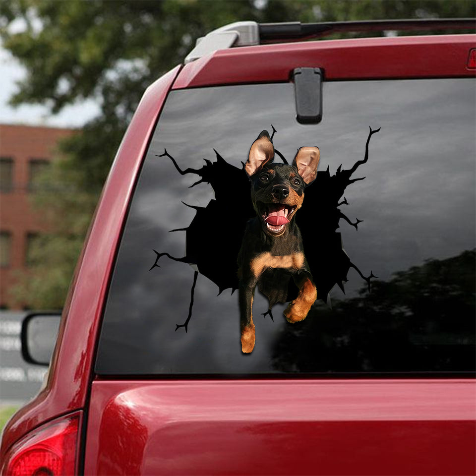[sk1864-snf-lad]-chihuahua-crack-sticker-dogs-lover