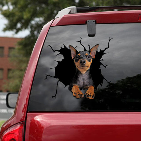 [sk1865-snf-lad]-chihuahua-crack-sticker-dogs-lover