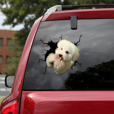 [ld0871-snf-lad]-poochon-crack-car-sticker-dogs-lover