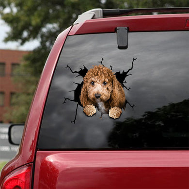 [ld0873-snf-lad]-poochon-crack-car-sticker-dogs-lover