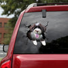 [ld1306-snf-lad]-portuguese-water-crack-car-sticker-dogs-lover