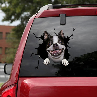 [sk1427-snf-tpa]-boston-terrier-crack-car-sticker-dogs-lover