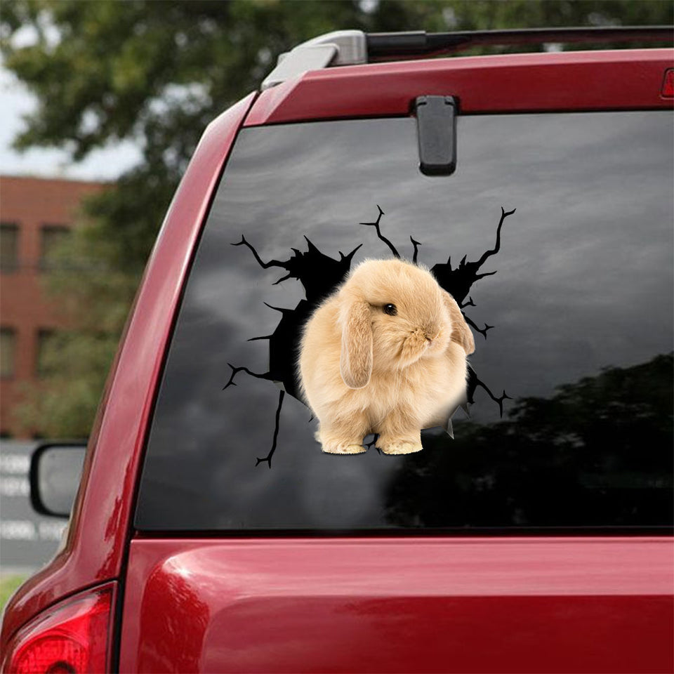 [ld0916-snf-lad]-holland-lop-crack-car-sticker-bunnys-lover