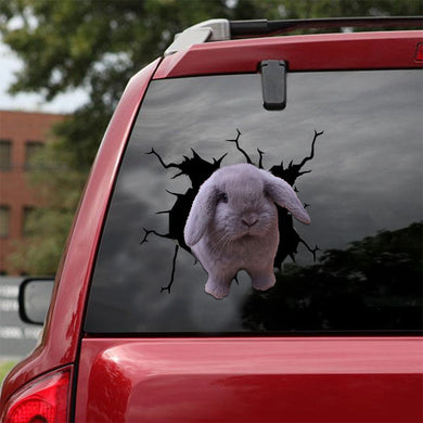 [ld0918-snf-lad]-holland-lop-crack-car-sticker-bunnys-lover