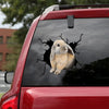 [ld0919-snf-lad]-holland-lop-crack-car-sticker-bunnys-lover