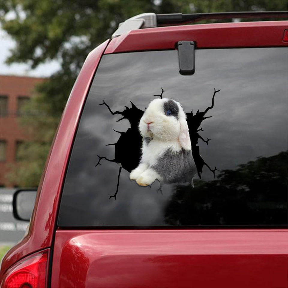 [ld0920-snf-lad]-holland-lop-crack-car-sticker-bunnys-lover