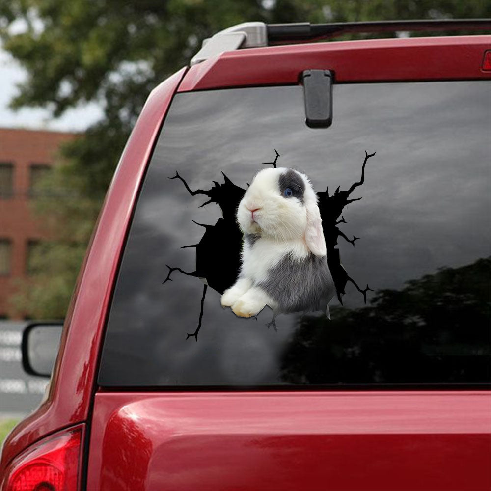 [ld0920-snf-lad]-holland-lop-crack-car-sticker-bunnys-lover