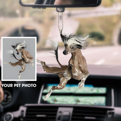 pet-customized-ornament-decorate-car