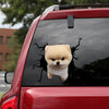 [sk1967-snf-tpa]-pomeranian-crack-car-sticker-dogs-lover