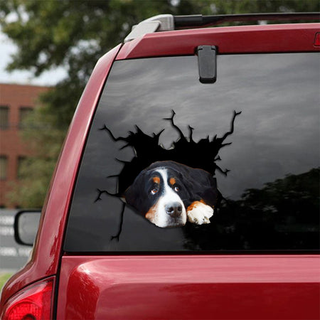 [sk1976-snf-tpa]-bernese-mountain-blonde-crack-sticker-dogs-lover