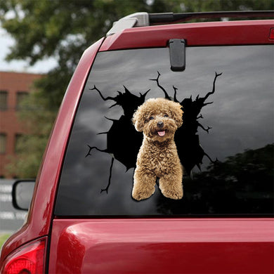 [sk1981-snf-lad]-poodle-crack-car-sticker-dogs-lover