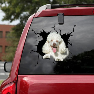 [sk1983-snf-lad]-poodle-crack-car-sticker-dogs-lover