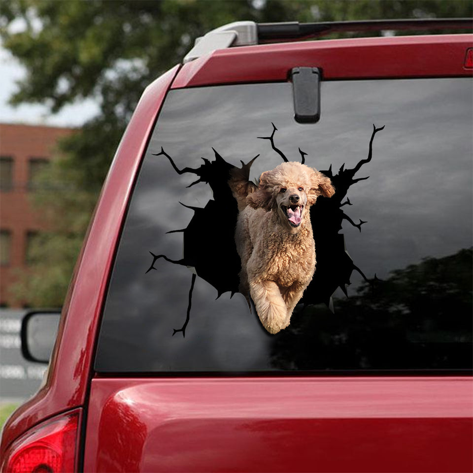 [sk1985-snf-lad]-poodle-crack-car-sticker-dogs-lover