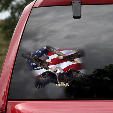 [ld1668-snf-lad]-america-car-sticker-americas-lover