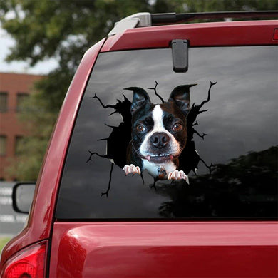[sk1428-snf-tpa]-boston-terrier-crack-car-sticker-dogs-lover