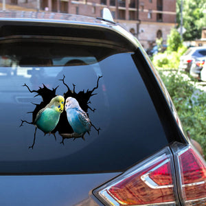 Budgerigars Bird Sticker Funny Parrot Wall Decals For Car