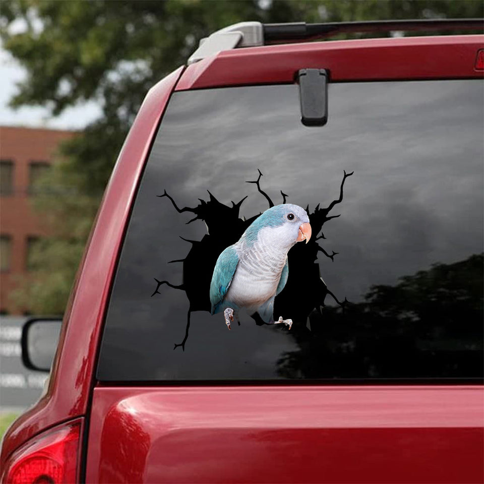 [da0382-snf-tnt]-quaker-crack-car-sticker-birds-lover